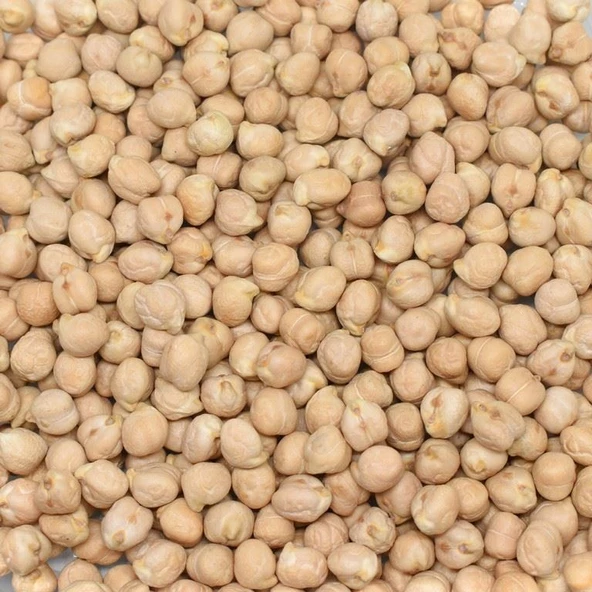 Gaziantep Pazarı Nohut 8 MM 2500 G - 2