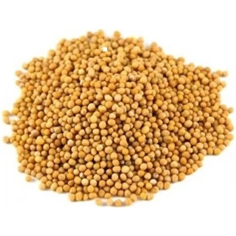 Gaziantep Pazarı Hardal Tohumu 1 KG