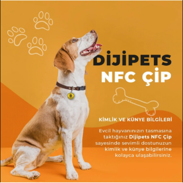 MVG Store Dijipets Beyaz Pati Dostu Akıllı Tasma Dijital Künye Ve Konum Bilgisi (Kayıp İlanı Vermeye Son) - 6