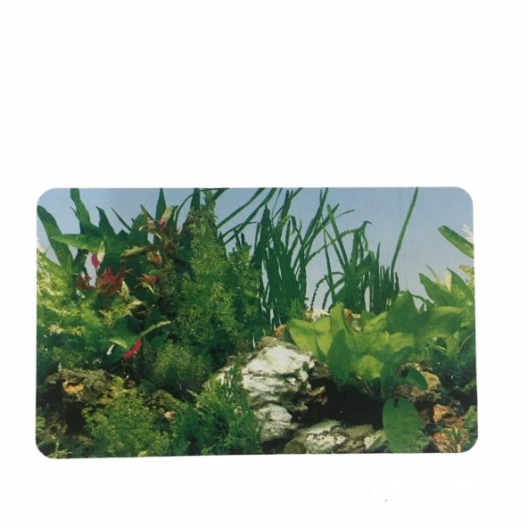Akvaryum Arkası İki Yönlü Plastik Poster 100 Cm x 50 Cm