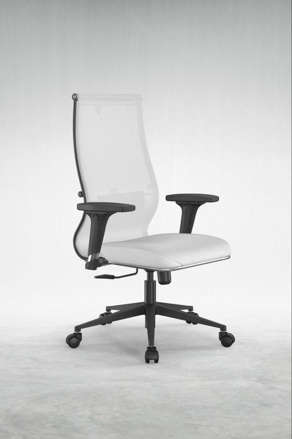 Ergolife Fileli Ofis Koltuğu / Sandalyesi SIT10-B2-163D