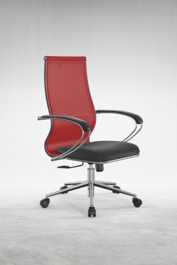 Ergolife Fileli Ofis Koltuğu / Sandalyesi SIT10-B2-163K