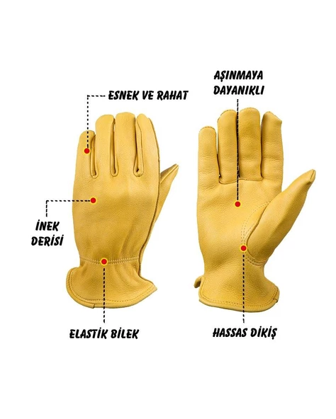 CAMPOUT DANA DERİSİ ELDİVEN - 2