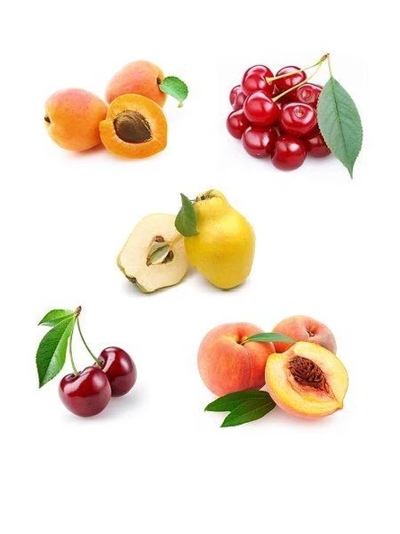 Şeftali- Kayısı-Ayva-Vişne-Kiraz Fidan Paketi ürün görseli