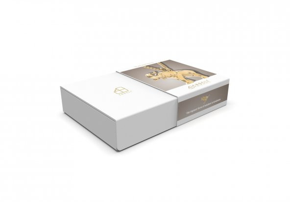 Chocli 18 Ayar Altın Kaplama Fil Kolye - 8