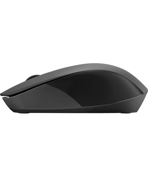 HP 150 Kablosuz Fare 2S9L1AA