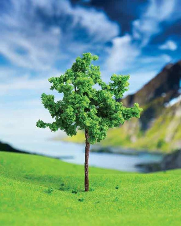 Karaağaç 9 cm 2 Adet