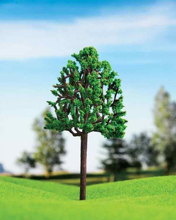 Kavak Ağacı 4 cm 3 Adet