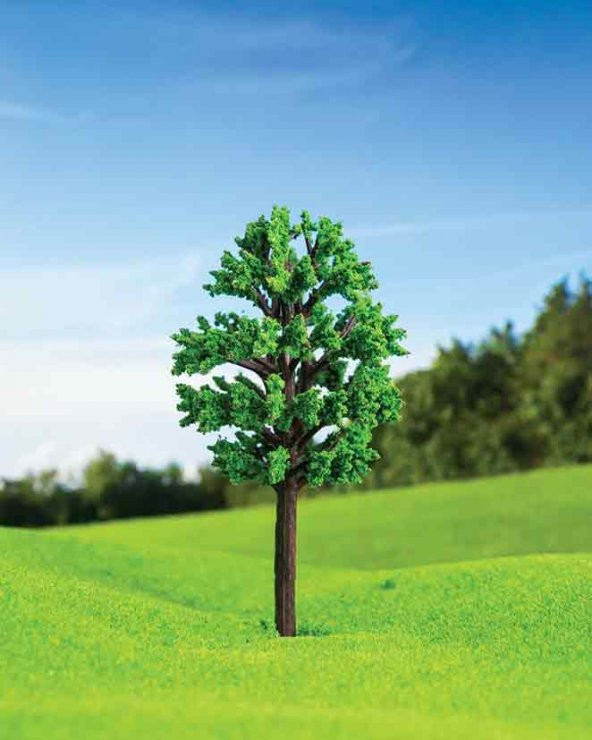 Zelkova Ağacı 9 cm 3 Adet