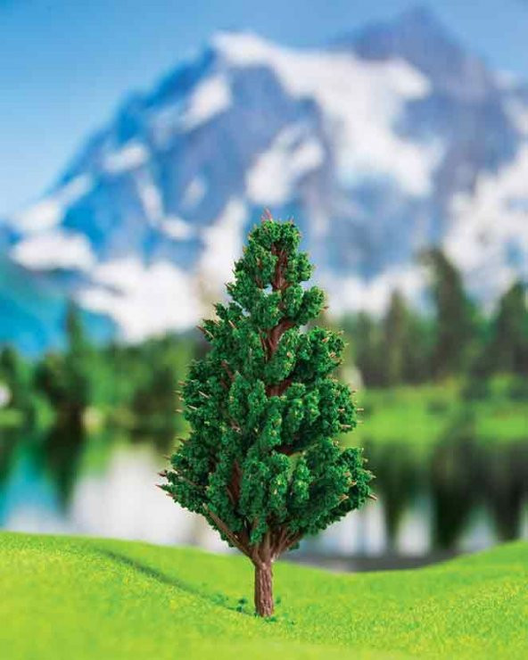 Ardıç Ağacı 2,5 cm 7 Adet