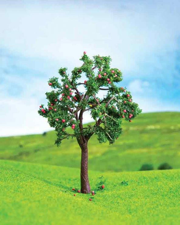 Alıç Ağacı 5,5 cm 2 Adet