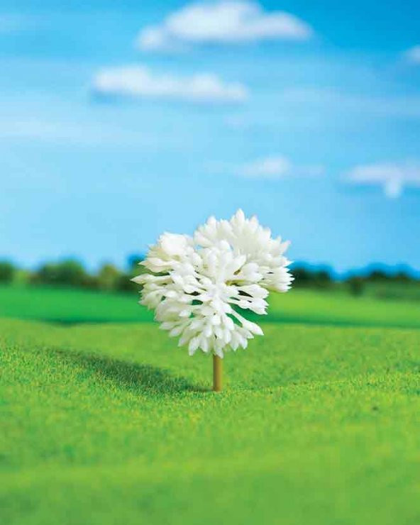Gül Çalı 4,5 cm 2 Adet