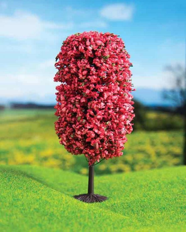 Kırmızı Renkli Dağ Çamı 8 cm 2 Adet