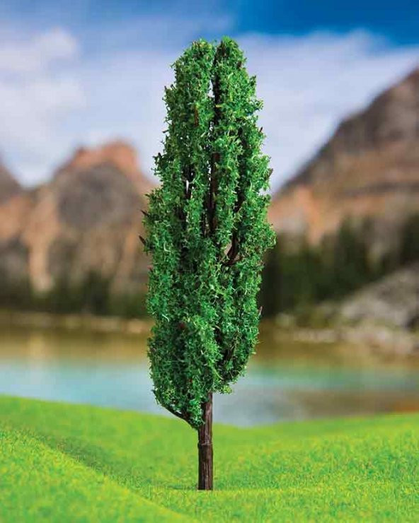 Kızılçam Ağacı 8 cm 3 Adet