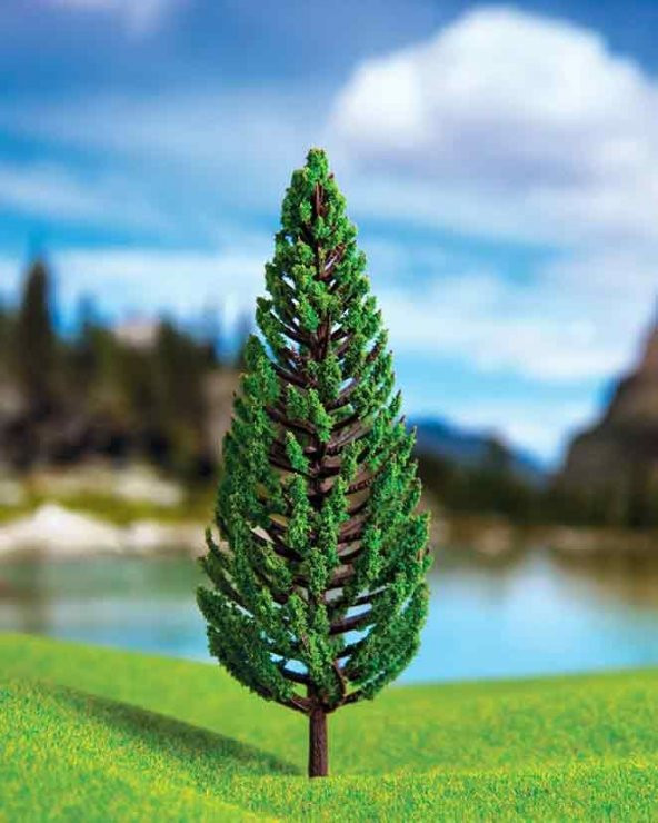 Akdeniz Selvisi 8,5 cm 3 Adet