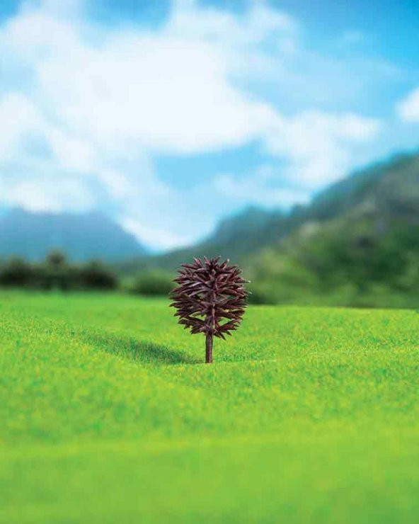 Yuvarlak Ağaç Dalı Çam 3,5 cm 4 Adet