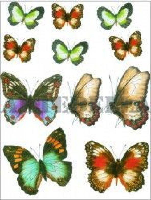Artebella 1238K Küçük Kolay Transfer 17x24 cm