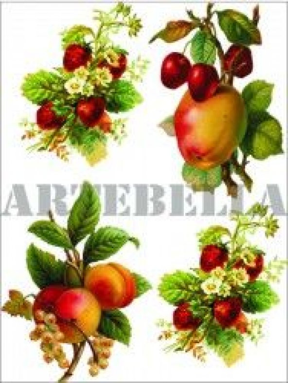 Artebella 1229K Küçük Kolay Transfer 17x24 cm