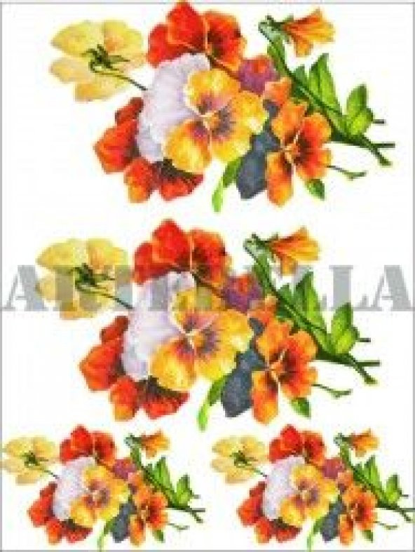 Artebella 1245K Küçük Kolay Transfer 17x24 cm