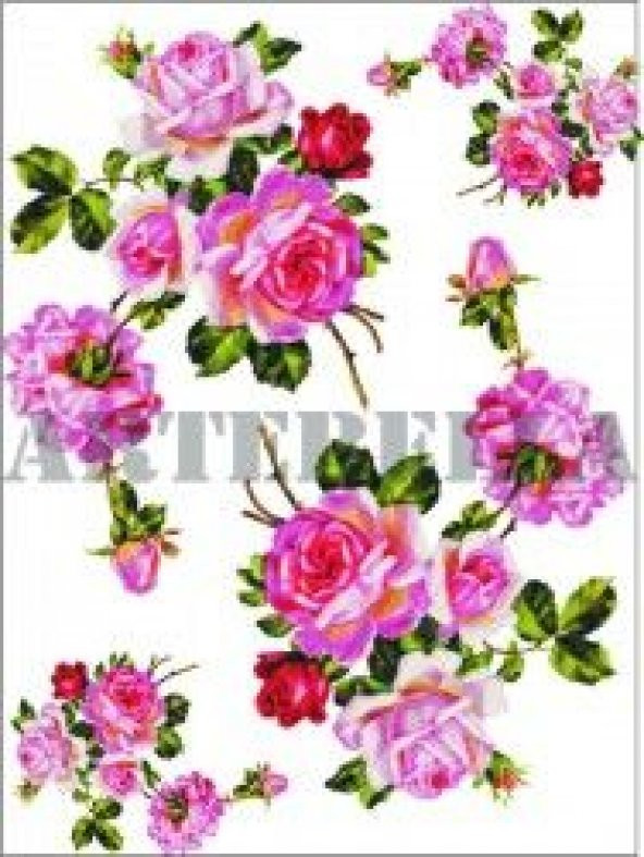 Artebella 1259K Küçük Kolay Transfer 17x24 cm