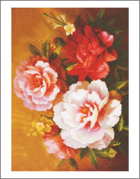 Artebella 1326K Büyük Kolay Transfer 23x34 cm