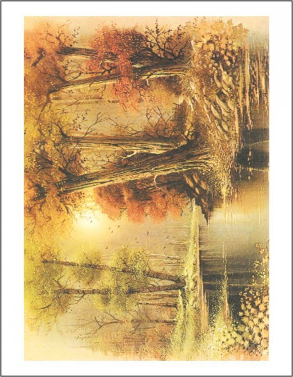 Artebella 1333K Büyük Kolay Transfer 23x34 cm