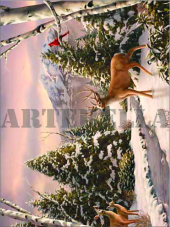 Artebella 1356K Büyük Kolay Transfer 23x34 cm