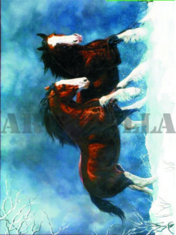 Artebella 1374K Büyük Kolay Transfer 23x34 cm