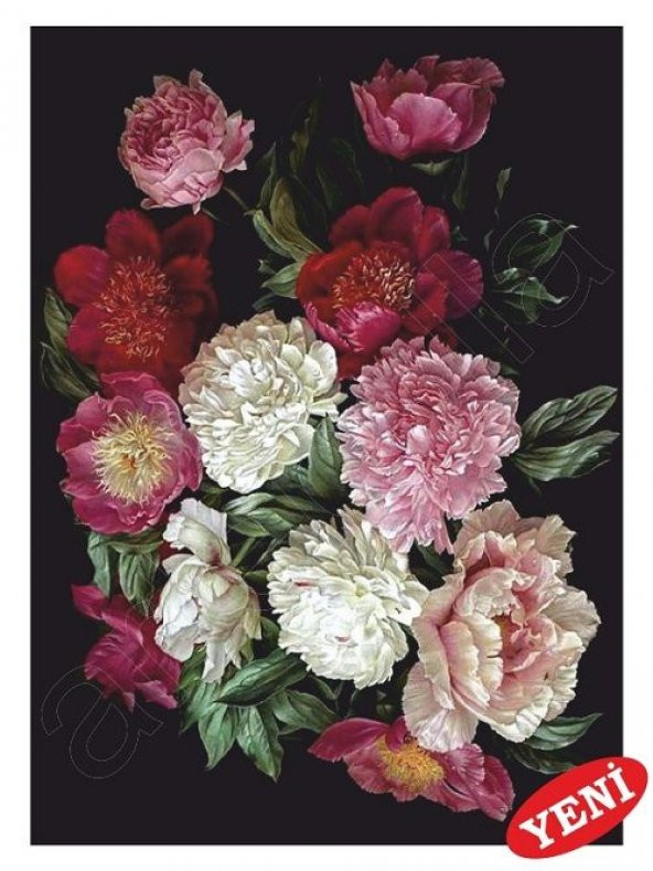 Artebella 1416K Büyük Kolay Transfer 23x34 cm