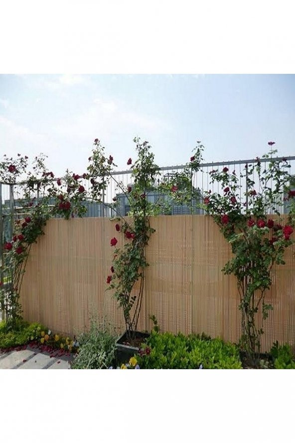 Polybotum Doğal Kamış Hasır Çit 3m X 5m Doğal Bambu -bahçe Çiti - Gölgelik Hasır -tavan Dekorasyon - 5