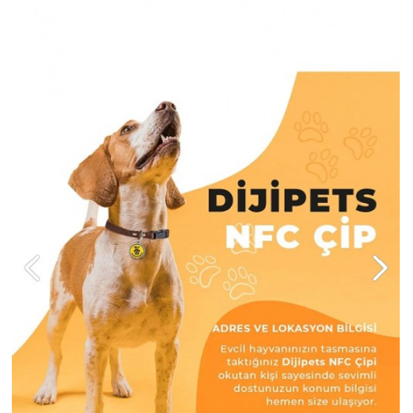 MVG Store Dijipets Pati Dostu Akıllı Tasma Dijital Künye Ve Konum Bilgisi (Kayıp İlanı Vermeye Son) - 5