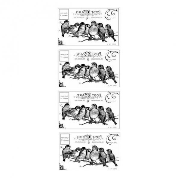 Artebella 5630V Home Design Kolay Transfer 10x25 cm