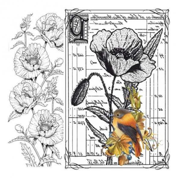 Artebella 5833V Home Design Kolay Transfer 25x25 cm