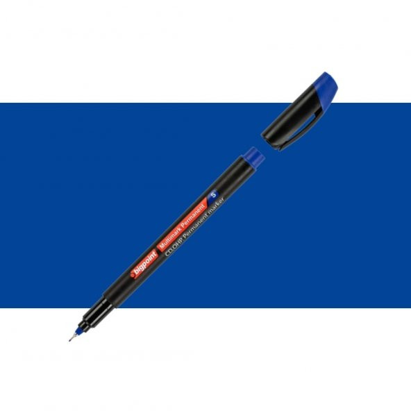 Bigpoint Permanent Marker (Asetat) Kalem S 0,3 Mavi