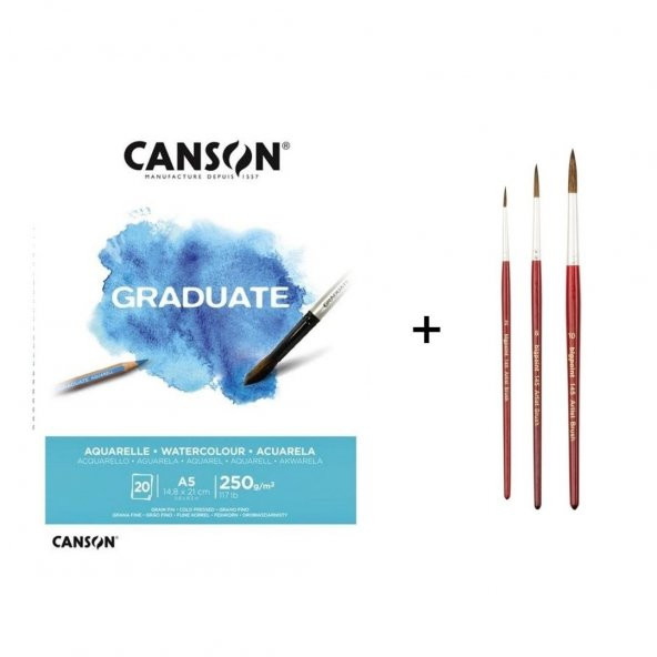 Bigpoint 145 Serisi Sulu Boya Fırça Seti ve Canson Graduate Defter a5 250gr