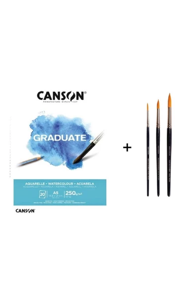 Talens Vangogh 191 Sulu Boya Fırça Seti ve Canson Graduate Defter a5 250gr