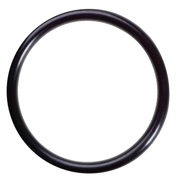 Bajaj Pulsar RS 200 Yağ Filtre Kapak Oringi ürün görseli