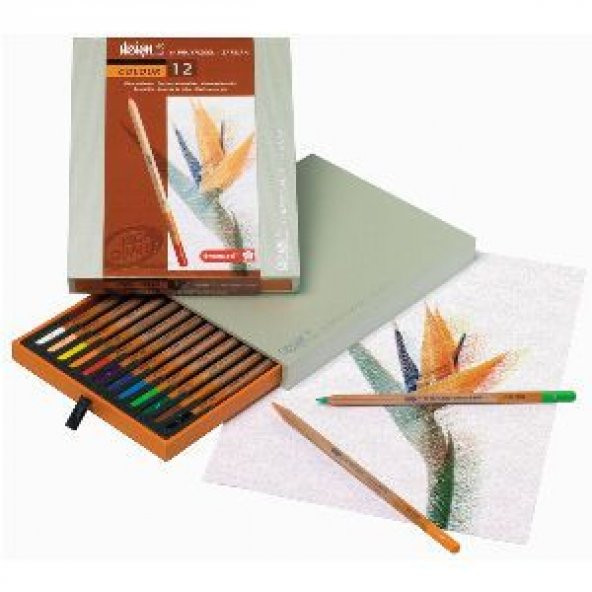 Bruynzeel Design Kuru Boya 12li Set