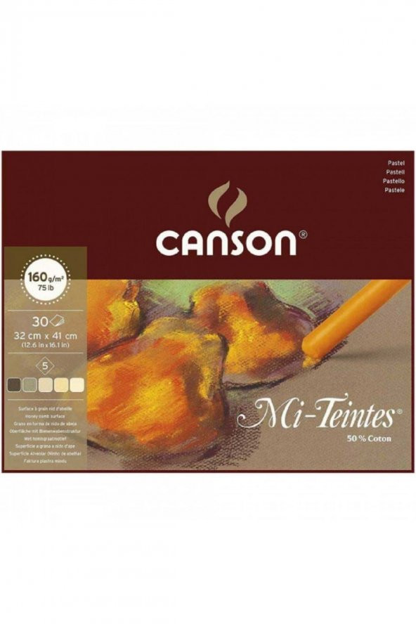 Canson Mi-Tientes 5 Toprak Renk 160gr Pastel Blok 30 Sayfa 32x41cm