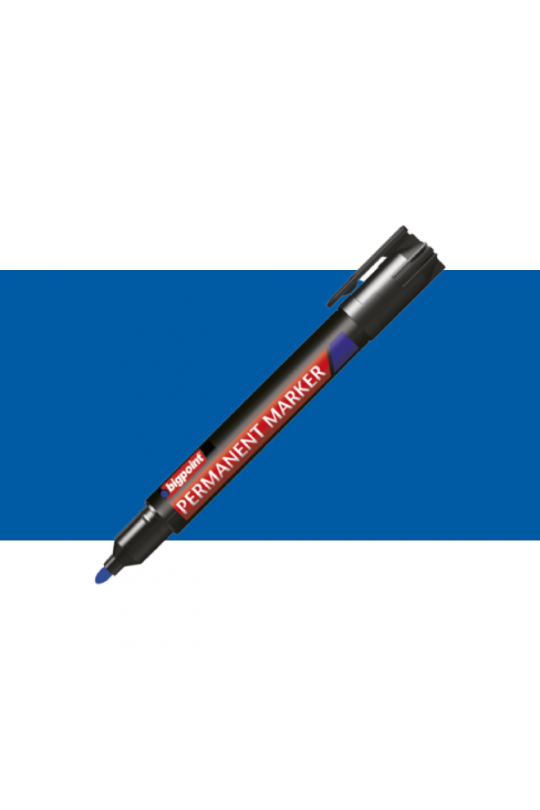 Bigpoint Permanent Marker Kalem Yuvarlak Uç Mavi