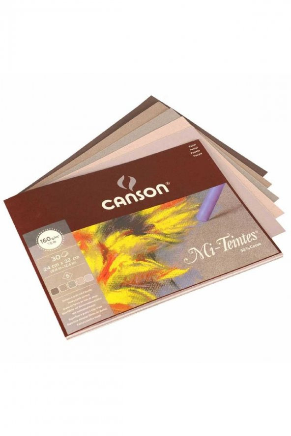 Canson Mi-Tientes 5 Toprak Renk 160gr Pastel Blok 30 Sayfa 24x32cm