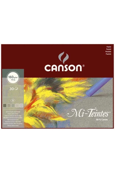Canson Mi-Tientes 5 Gri Renk 160g Pastel Blok 30 Sayfa 24x32cm