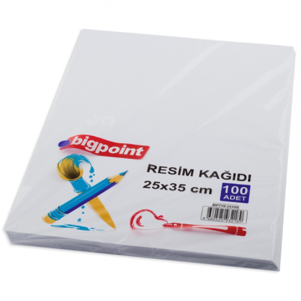 Bigpoint Resim Kağıdı 120gr. 25x35cm 100'lü Paket