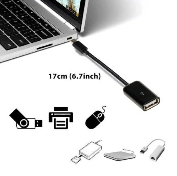 Type C Usb Otg Kablo Veri Aktarma Kablosu 20 cm - 2