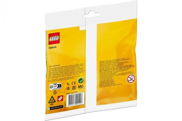 LEGO Creator 30645 Snowman - 2