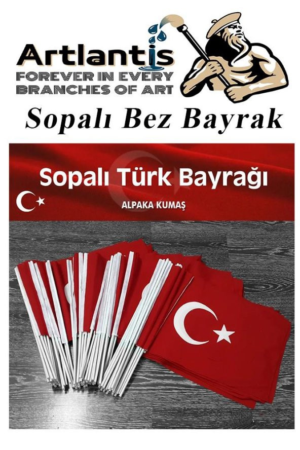 Sopalı Bez Bayrak 20x30 Cm 10 Adet Saplı Bayrak Ay Yıldız Plastik Çıtalı 20*30 Bez Bayrak Mill Bayram Kutlama - 4