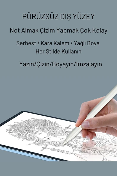 Fuchsia Dokunmatik Ekran Notebook için Stylus Kalem - Resim 4