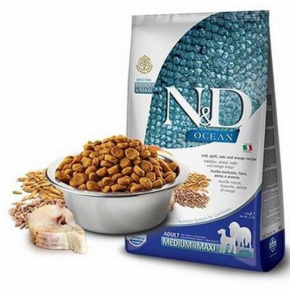 N&D Low Ocean Balık&Portakal Orta Büyük Irk Köpek Maması 12 Kg