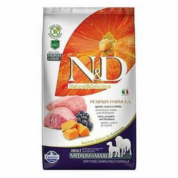 N&D Pumpkin Kuzu&Yaban Mersini Orta Büyük Irk Köpek Maması 12 Kg