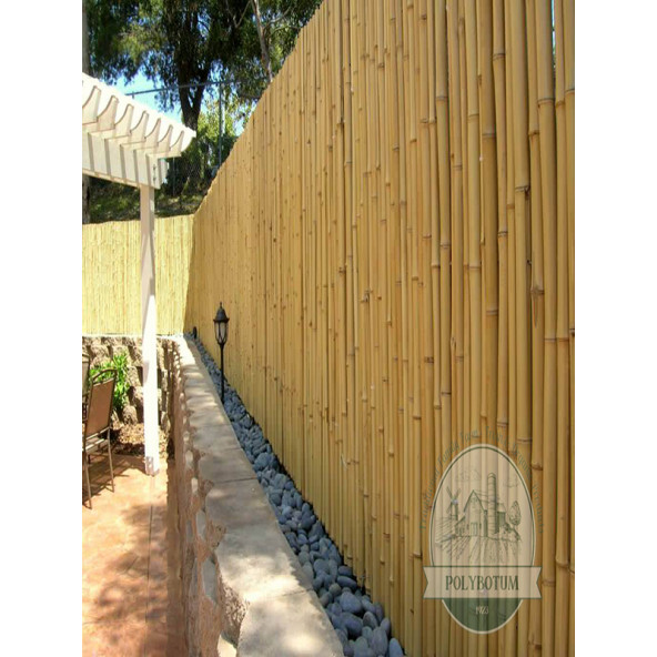 POLYBOTUM Doğal Kamış Hasır Çit 2 m X 5m Doğal Bahçe Çiti - Gölgelik Hasır - 6